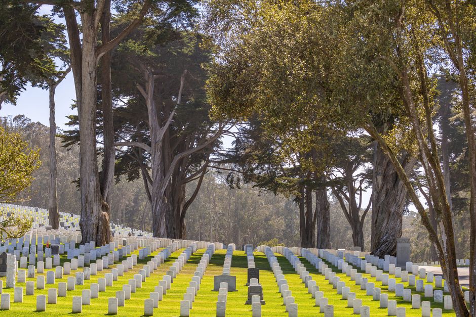 The VA Is Testing MDMA-Assisted Therapy for Veteran PTSD